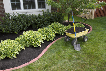 Triple mix topsoil for your garden